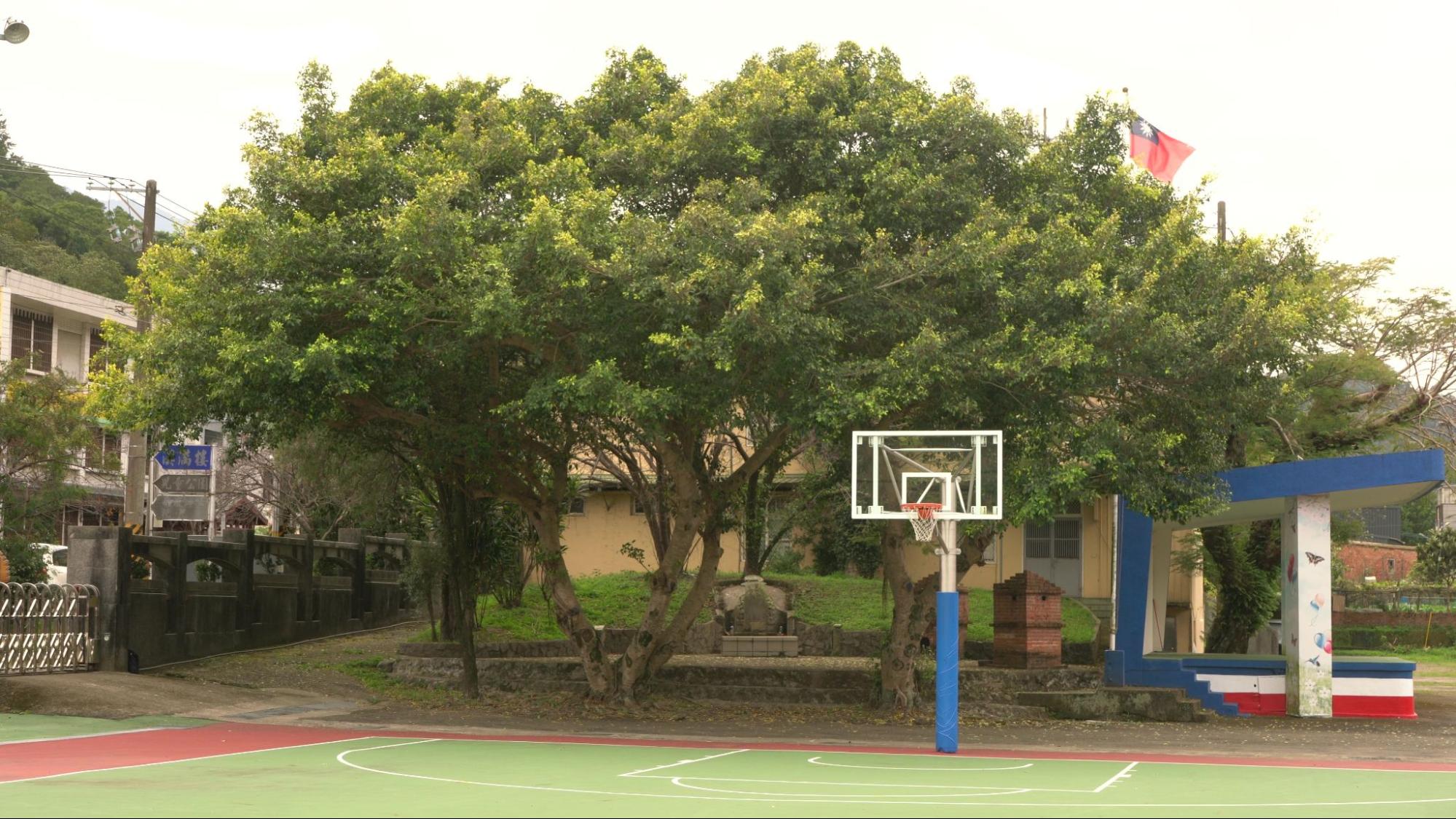 image6.jpg
